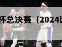 2024欧洲杯总决赛（2024欧洲杯总决赛时间）