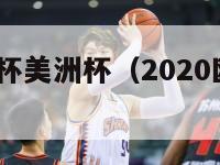 2021欧洲杯美洲杯（2020欧洲杯美洲杯）