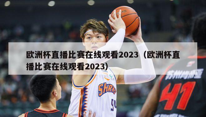 欧洲杯直播比赛在线观看2023（欧洲杯直播比赛在线观看2023）